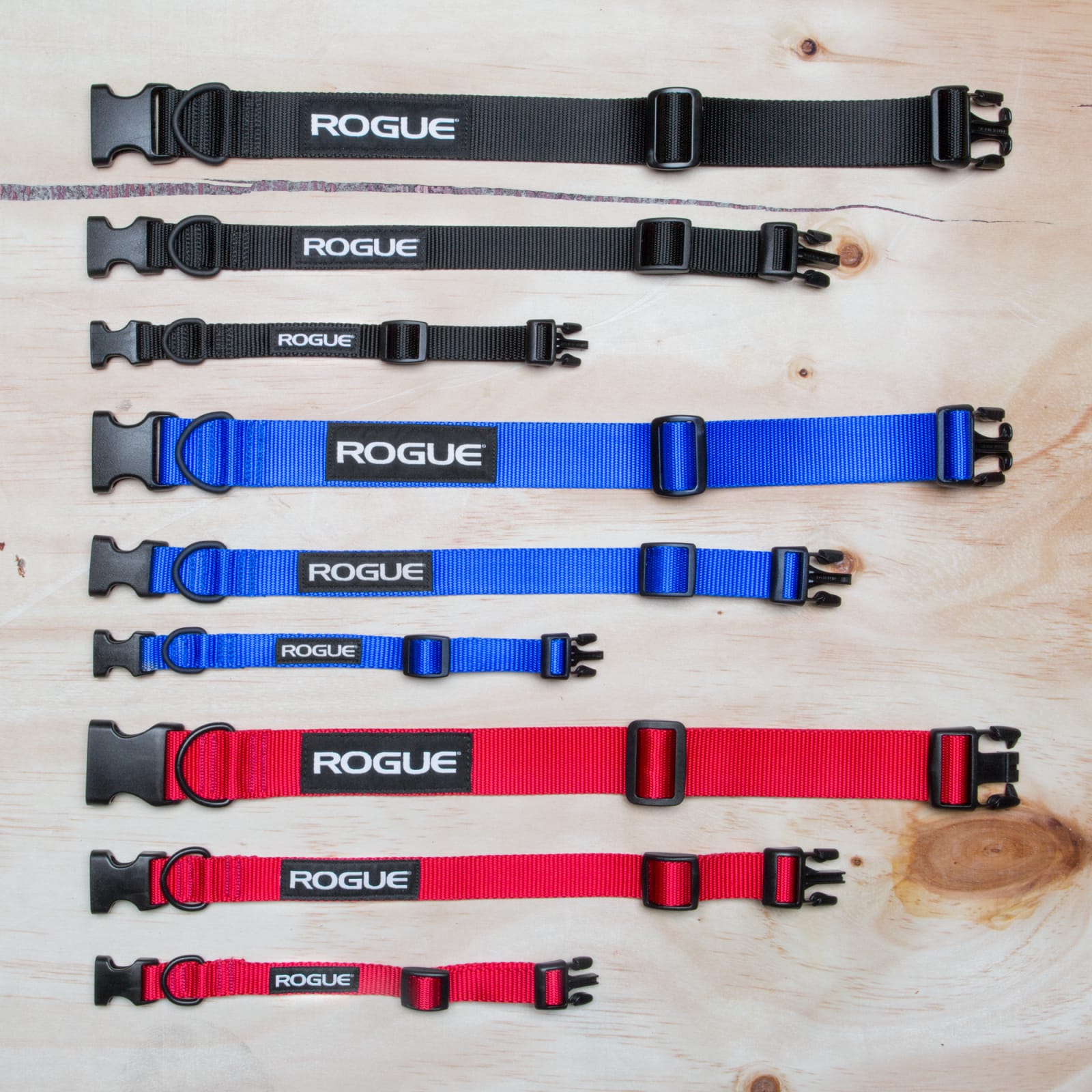 Rogue fitness sales dog collar